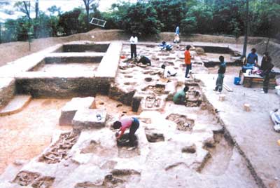 南宁顶蛳山遗址天气 南宁顶蛳山遗址天气