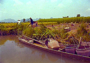 桂林相思埭古桂柳运河天气 桂林相思埭古桂柳运河天气