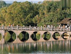 玉林万济桥天气 玉林万济桥天气