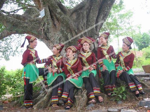 百色田阳布洛陀芒果风情园天气 百色田阳布洛陀芒果风情园天气