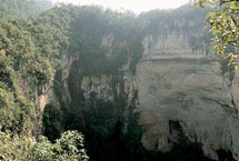 百色黄猄洞天坑国家森林公园天气 百色黄猄洞天坑国家森林公园天气