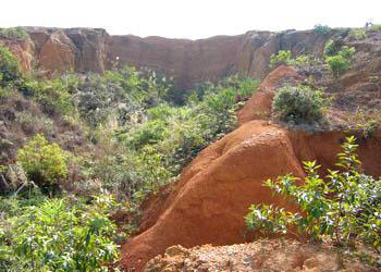 百色百谷遗址天气 百色百谷遗址天气