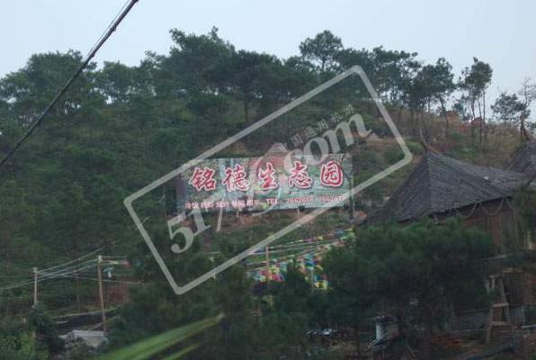 钦州铭德农业生态园天气 钦州铭德农业生态园天气