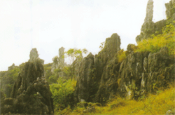 贵港龙凤石林天气 贵港龙凤石林天气