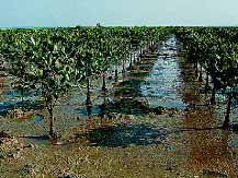 海口红树林天气 海口红树林天气