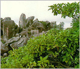 万宁东兴亭湖宾榭天气 万宁东兴亭湖宾榭天气