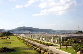 南宁市八桂田园景区天气 南宁市八桂田园景区天气