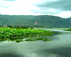 红河石屏异龙湖天气 红河石屏异龙湖天气