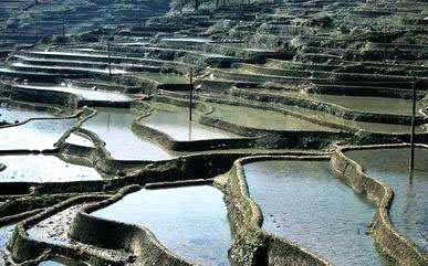 红河元阳梯田天气 红河元阳梯田天气