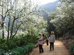 个旧宝华公园天气 个旧宝华公园天气