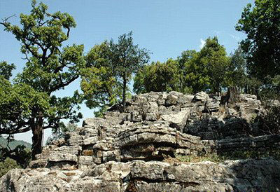 红河菌子山天气 红河菌子山天气