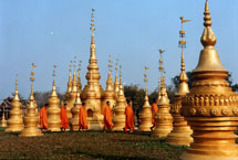 西双版纳州勐景来天气 西双版纳州勐景来天气