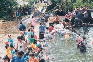 景洪曼斗民俗活动村天气 景洪曼斗民俗活动村天气