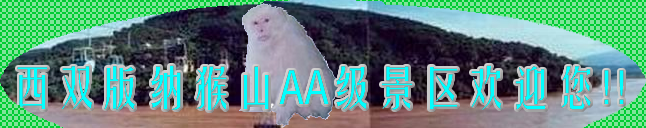 西双版纳猴山天气 西双版纳猴山天气