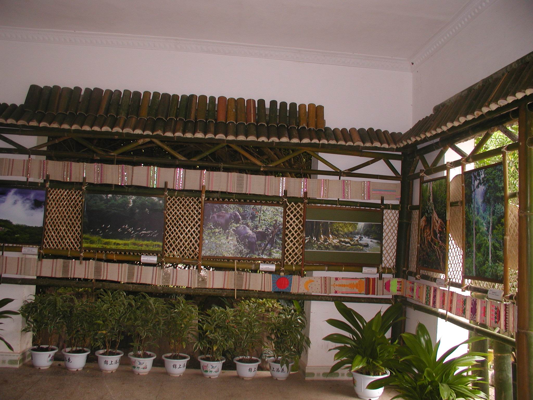 中科院西双版纳热带植物园天气 中科院西双版纳热带植物园天气