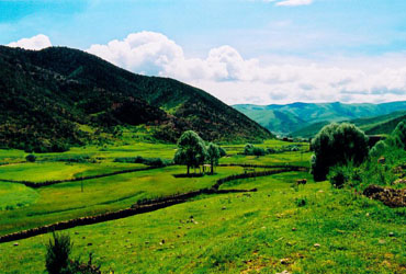 大理下山口天气 大理下山口天气