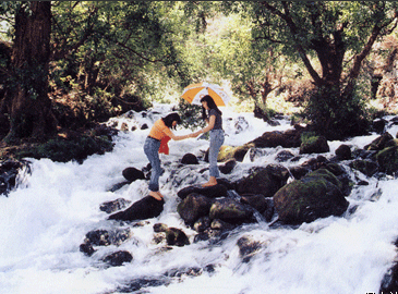 保山龙光台上天气 保山龙光台上天气