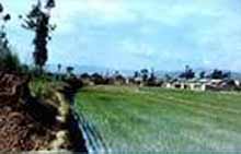 保山汉庄城址天气 保山汉庄城址天气