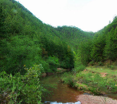 怒江兰坪罗古箐天气 怒江兰坪罗古箐天气