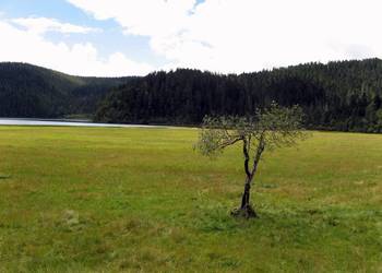 迪庆普达措国家森林公园天气 迪庆普达措国家森林公园天气