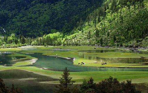 重庆市石柱县黄水镇月亮湖天气 重庆市石柱县黄水镇月亮湖天气