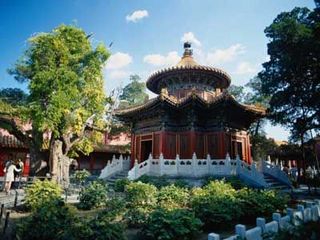 重庆樵坪山天气 重庆樵坪山天气