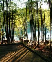 重庆雨台山天气 重庆雨台山天气