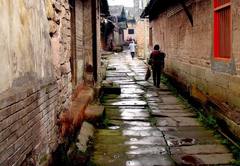 永川松溉古镇天气 永川松溉古镇天气