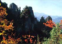 五峰柴埠溪国家森林公园天气 五峰柴埠溪国家森林公园天气