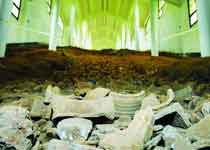 望城铜官窑天气 望城铜官窑天气