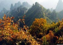 张家界凤栖山天气 张家界凤栖山天气