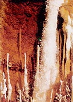 巴南姜家溶洞风景区天气 巴南姜家溶洞风景区天气