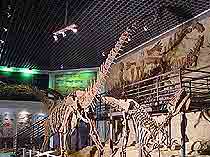 北碚恐龙遗址天气 北碚恐龙遗址天气