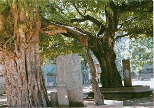 重庆奉节永安宫天气 重庆奉节永安宫天气