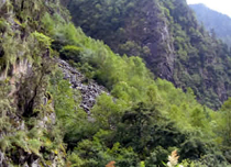 丹巴东谷天然盆景(丹巴美人谷)天气 丹巴东谷天然盆景(丹巴美人谷)天气