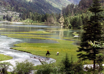 康定莲花海天气 康定莲花海天气