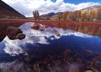 稻城桑堆小镇天气 稻城桑堆小镇天气