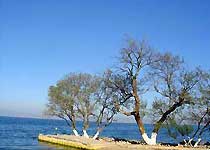 江川明星景区天气 江川明星景区天气