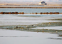 澄江新河口天气 澄江新河口天气