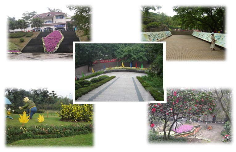 重庆动物园天气 重庆动物园天气