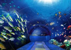 武汉浪淘石天气 武汉浪淘石天气