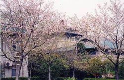 武汉珞珈山天气 武汉珞珈山天气