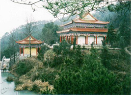 黄石大冶雷山天气 黄石大冶雷山天气