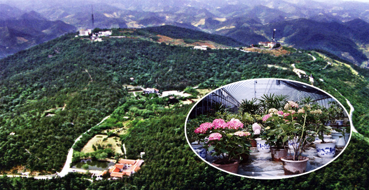 十堰市四方山植物园天气 十堰市四方山植物园天气