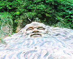 荆州万寿园天气 荆州万寿园天气