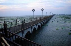 荆州洪湖天气 荆州洪湖天气