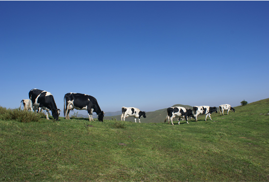 城步南山风景名胜区天气 城步南山风景名胜区天气