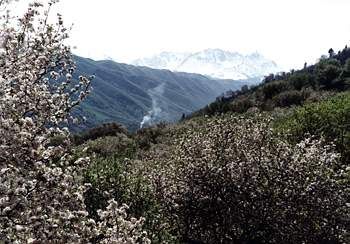 常德核桃沟天气 常德核桃沟天气