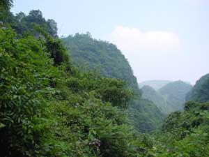 成都白鹿森林公园天气 成都白鹿森林公园天气