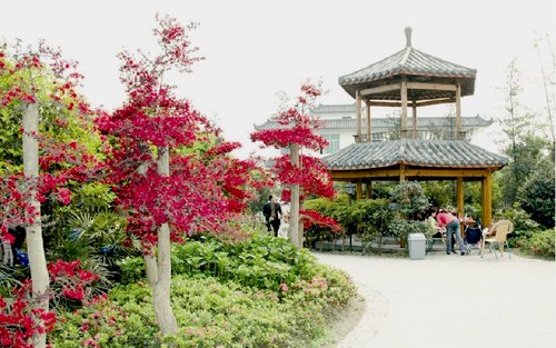 成都郫县友爱镇农科村天气 成都郫县友爱镇农科村天气